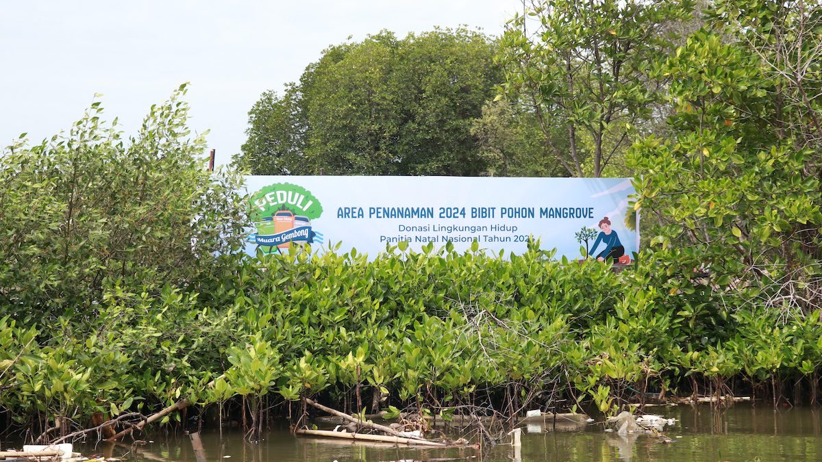 Aksi peduli Muara Gembong. (dok. PCO)