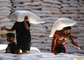 Beras Khusus Diproduksi dalam Negeri tak Kena PPN 12 Persen