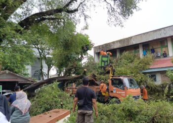 Angin Kencang, Pohon Tumbang Timpa Parkiran PTUN Padang dan Museum Adityawarman