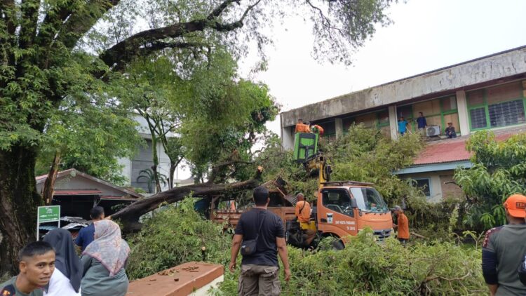 Petugas mengevakuasi pohon tumbang yang menimpa area parkiran PTUN Padang dan Museum Adityawarman. (Foto: BPBD Padang)