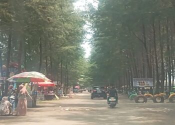 Jumlah Wisatawan ke Objek Wisata Pasaman Barat Meningkat 50% Selama Libur Panjang