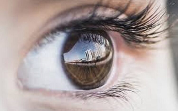 ilustrasi (pixabay.com)