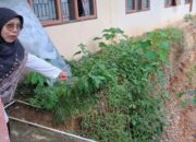 Empat Lokal SDN 05 Lubuk Alung Terancam Ambruk, Proses Belajar Terhambat