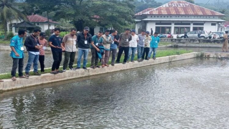Pelatihan budidaya ikan Nila IAS Belanda dari PT Indo Aqua Sukses di Balai Benih Ikan (BBI) Lundar, Kecamatan Panti, Selasa. (Foto: Antara)