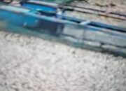 Kerugian Petani KJA Rp1,87 Miliar Akibat Kematian Ikan Massal di Danau Maninjau