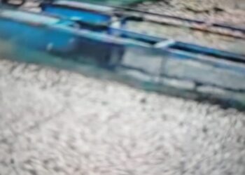 Ikan Danau Maninjau Mati akibat Angin Kencang Bertambah jadi 25 Ton