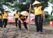 Polres Pasbar Dukung Program Swasembada Pangan dengan Penanaman Jagung di Lahan Kosong