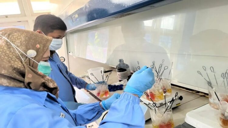 Petugas BPPOM saat menguji kandungan di dalam sampel produk kosmetik yang beredar di Aceh, di Banda Aceh, Rabu (22/1/2025). (ANTARA/Nurul Hasanah)
