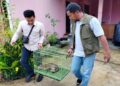 BKSDA Sumbar Terima Penyerahan Kucing Hutan dari Warga Agam