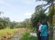 Capaian Produksi Ikan di Pasaman Barat Tembus 18.158 Ton, Target 107.528 Ton di 2025