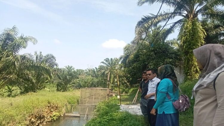 Kepala Dinas Perikanan Pasaman Barat Zulfi Agus (baju putih) didampingi penyuluh perikanan saat memberikan bimbingan kepada kelompok budi daya perikanan di Kecamatan Pasaman beberapa waktu lalu. (ANTARA/Altas Maulana).