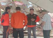 BPBD Pasaman Bersihkan Reruntuhan Pohon Beringin yang Rusak Gedung SDN 01 Koto Rajo