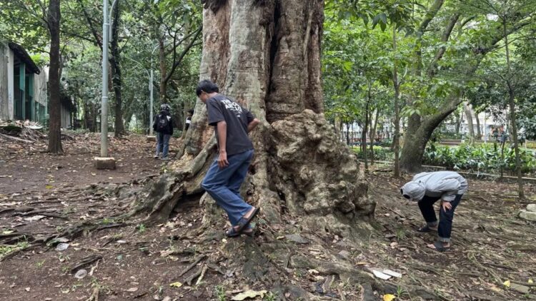 Para warga Bandung saat mencari koin harta karun yang tersebar di Taman Maluku, Kota Bandung, Jawa Barat, Kamis (9/1/2025). (ANTARA/Rubby Jovan)