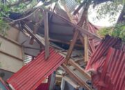 SD di Pasaman Ambruk Ditimpa Pohon, Pembelajaran Kelas 3 Dialihkan ke Perpustakaan