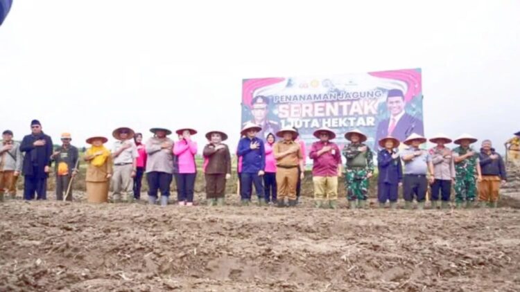 Polres Padang Panjang Luncurkan Program Penanaman Jagung Serentak 1 Juta Hektare 1 Kapolres bersama Pj. Wako, ketua DPRD dan Forkopimda tanam jagung serentak dukung program ketahanan pangan (ANTARA/ Isril Naidi)