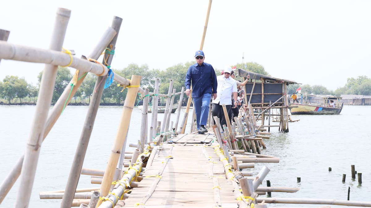 Menteri ATR/BPN cek lokasi pagar laut di Tangerang. (dok. ATR/BPN)