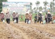 PTPN IV Regional 4 dan Polda Jambi Tanam Jagung Bersama