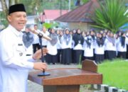Jumlah Peserta Lulus Seleksi PPPK di Pasaman Capai 613 orang