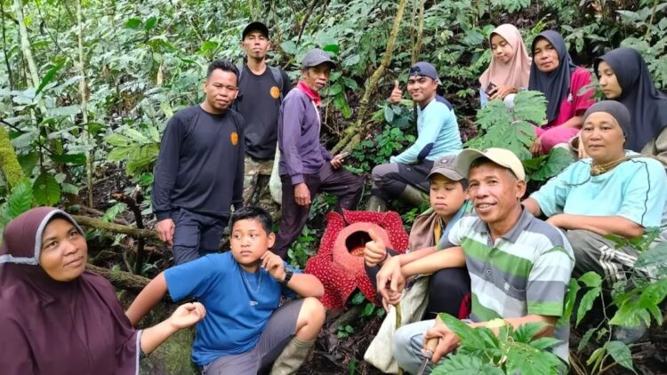 Titik Baru Sebaran Rafflesia Ditemukan di Agam, Kondisi Sedang Mekar Sempurna 1 Warga Pagadih Hilia, Nagari Pagadih, Kecamatan Palupuh, Kabupaten Agam bersama petugas BKSDA Sumbar sedang berada di bunga rafflesia, Selasa (28/1). (Dok Antara/Yusrizal)