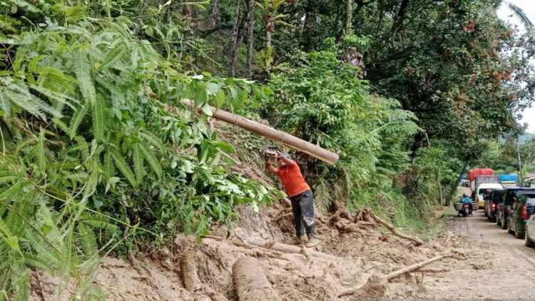 Banjir Terjang Koto XI Tarusan, 1.089 Kepala Keluarga Terdampak 1 Petugas membersihkan ruas jalan nasional yang tertutup oleh material longsor di Kabupaten Pesisir Selatan, Selasa (7/1/2025). (ANTARA/HO-Polsek Koto XI Tarusan)