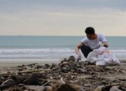 Zulhas Tinjau TPA Air Dingin, Pastikan Proyek RDF Segera Jalan