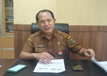 Dinas Peternakan Sumbar Pastikan Daging Sapi atau Kerbau Terpapar PMK Aman Dikonsumsi