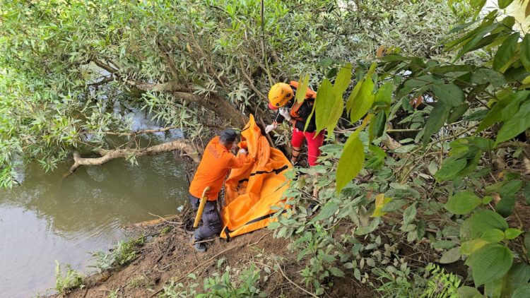 Korban Terseret Arus Sungai di Pesisir Selatan Ditemukan Meninggal Dunia 1 Evakuasi korban terseret arus sungai di Pessel. (dok. istimewa)