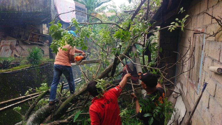 Evakuasi pohon tumbang oleh BPBD Padang. (dok. istimewa)