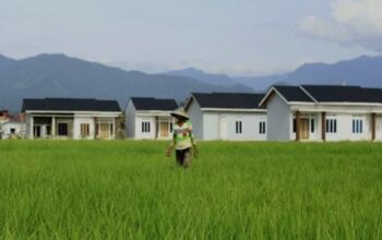 Areal persawahan di Padang. (dok. infopublik)