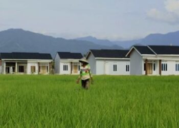 Areal persawahan di Padang. (dok. infopublik)