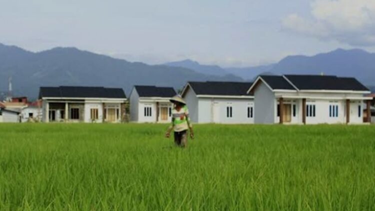 Areal persawahan di Padang. (dok. infopublik)