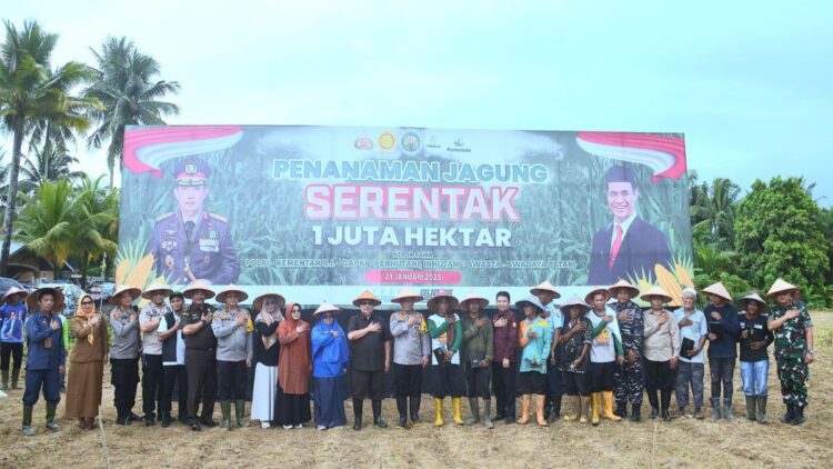 Pj Wako Padang Ikuti Penanaman Jagung Serentak 1 Juta Hektar, Wujudkan Program Asta Cita Presiden Prabowo 1 penanaman jagung serentak