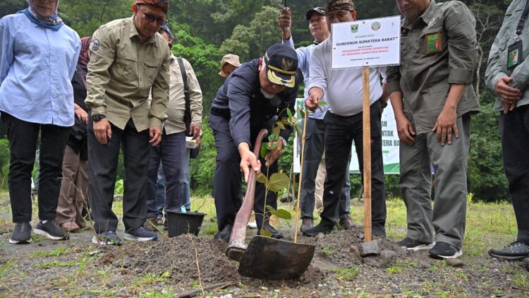 Dukung Kelestarian Hutan dan Kebijakan Nasional, Pemprov Sumbar Gelar Program Penanaman Pohon Serentak 1 Penanaman pohon serentak di Provinsi Sumatera Barat. (dok. adpsb)