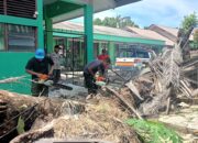 BPBD Padang Bersihkan Material Pohon Tumbang Timpa Pagar SMP Negeri 21 Padang