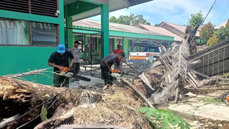BPBD Padang Bersihkan Material Pohon Tumbang Timpa Pagar SMP Negeri 21 Padang 1 Personil BPBD Padang membersihkan material pohon tumbang yang menimpa pagar SMPN 21 Padang. (dok. Humas)