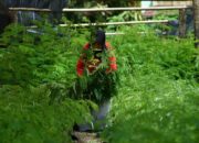 AFR dan EBT: Strategi Hijau PT Semen Padang untuk Efisiensi dan Lingkungan