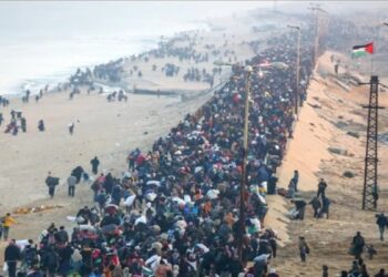 Lebih 430.000 Warga Palestina Mengungsi di Gaza, PBB Soroti Krisis Kemanusiaan yang Memburuk 14 Lebih 430.000 Warga Palestina Mengungsi di Gaza, PBB Soroti Krisis Kemanusiaan yang Memburuk