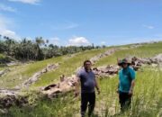 Pemkab Pasaman Barat Dorong Peremajaan Kelapa Sawit untuk Tingkatkan Produktivitas