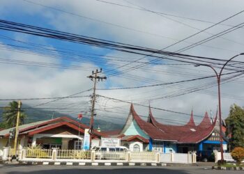 Pemkab Pasaman Ajukan Anggaran Rp10 Miliar Bangun Perpustakaan Baru, Dukung Minat Baca Masyarakat