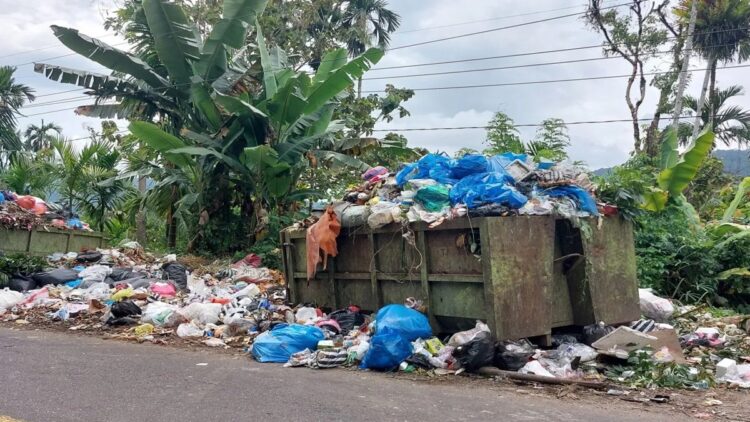 Pemkab Pasaman Rencanakan Pengadaan Incenerator untuk Atasi Tumpukan Sampah dan Tingkatkan PAD 1 Tumpukan sampah rumah tangga dititik pengumpulan jalan bypass Lubuk Sikaping, Selasa (25/2/2025).ANTARA/Heri Sumarno