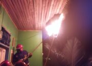 Gerombolan Lebah Serbu Rumah Warga di Aie Pacah, Damkar Padang Turun Tangan