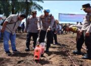Polres Agam Tanam Jagung Seluas 30 Hektare, Dukung Program Ketahanan Pangan Nasional