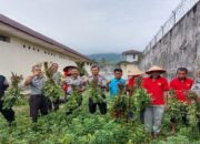 Rutan Lubuk Sikaping Tanam Kacang Tanah untuk Ketahanan Pangan dan Pembinaan WBP