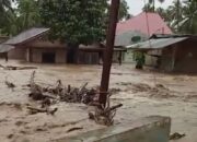 Banjir Rendam 60 Rumah di Pasaman, Warga Masih Siaga Evakuasi Barang
