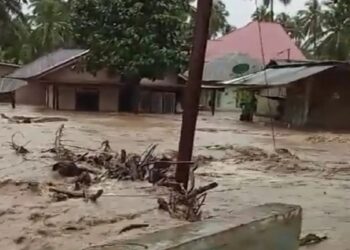 Banjir Rendam 60 Rumah di Pasaman, Warga Masih Siaga Evakuasi Barang
