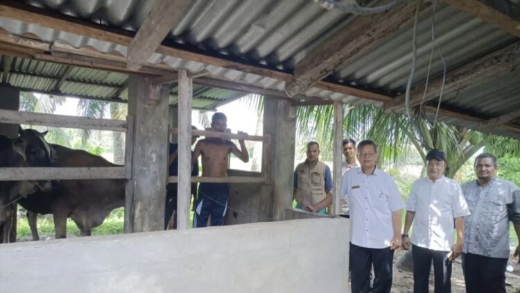 Populasi Kerbau di Padang Pariaman Terus Menurun, Pemotongan Tinggi saat Lebaran jadi Penyebab Utama 1 Pelaksana Tugas Kepala Dinas Peternakan dan Kesehatan Hewan Kabupaten Padang Pariaman, Sumbar Zulkhailisman (tiga kanan) berfoto bersama saat mengunjungi kandang ternak di daerah itu. Antara/HO-Dinas Pertenakan dan Kesehatan Hewan Padang Pariaman