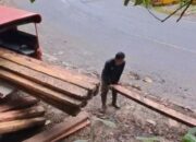 BKSDA Amankan Dua Kubik Kayu Ilegal di Hutan Lindung Pasaman, Pelaku masih Diburu