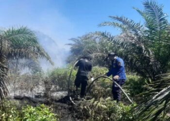 Tim Gabungan Padamkan Kebakaran 8 Hektare Lahan Sawit di Agam