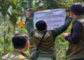 BKSDA Segel 3,5 Hektare Lahan Perambahan Hutan di Kawasan Suaka Margasatwa Malampah