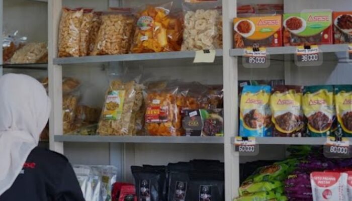 Menteri UMKM RI Tekankan Aktivitas Penjualan di Sumut dan Sumbar Sudah Normal